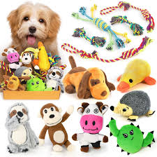 Dog Toys