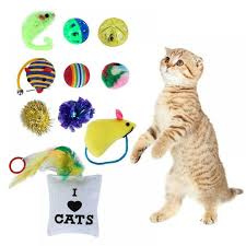 Shop all cat Toys & Supplies