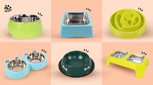 Bowls & Feeders