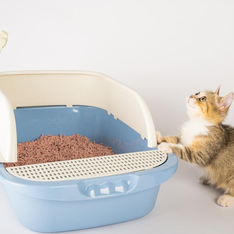 Litter Boxes & Accessories