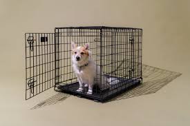 Dog Carriers & Cages