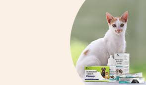 Shop All Cat Health & Pharmacy