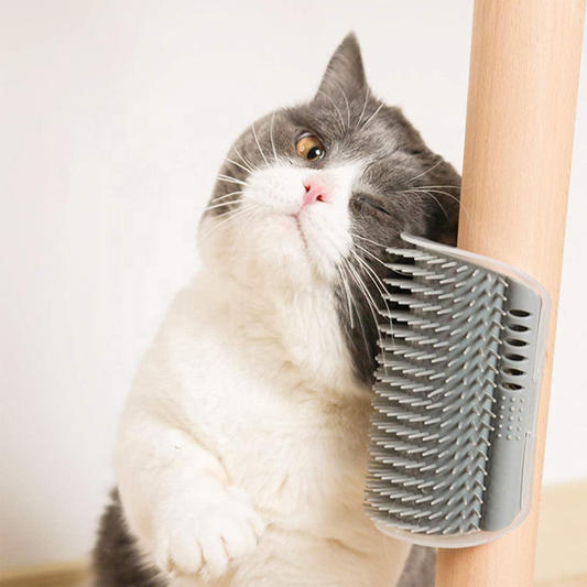 Cat Dog Comb Wall Corner