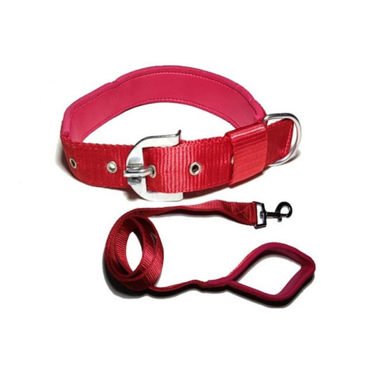 Dog collar with leash