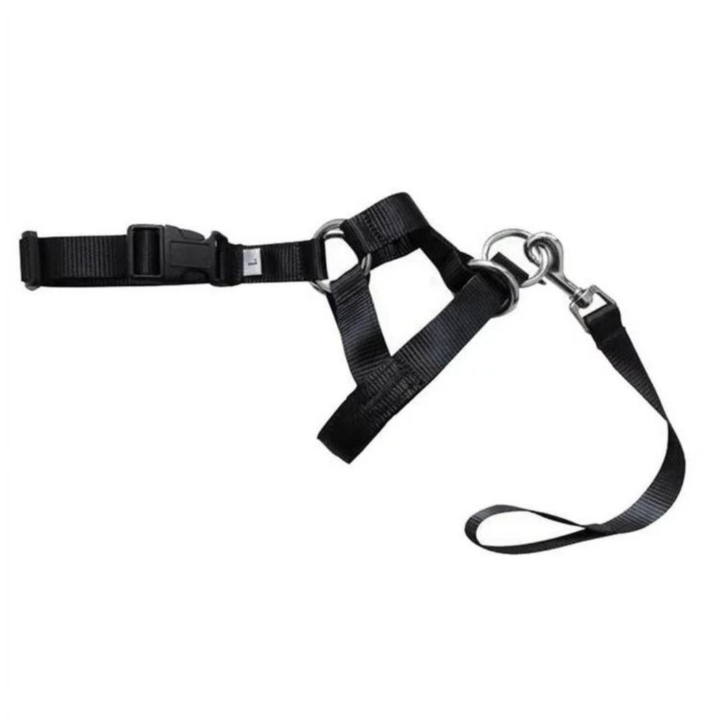 Dog harness