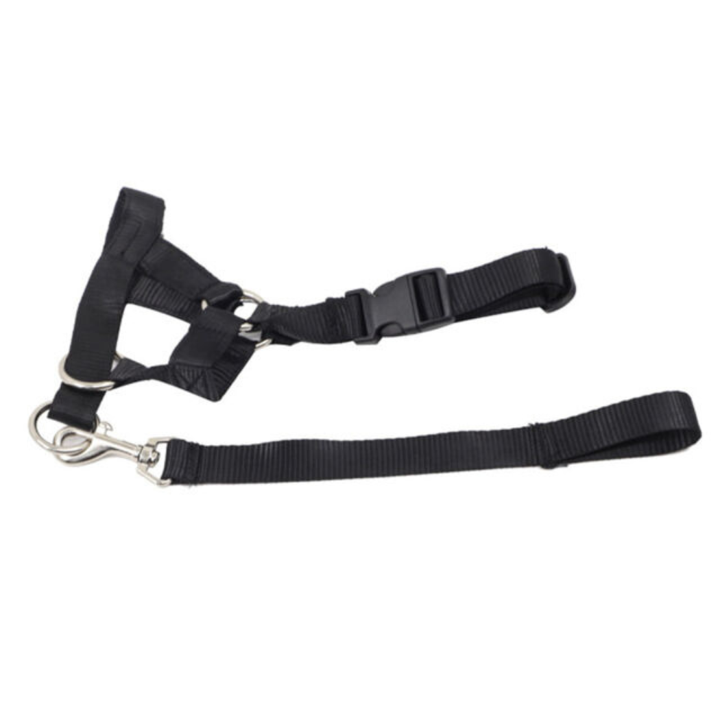 Dog harness