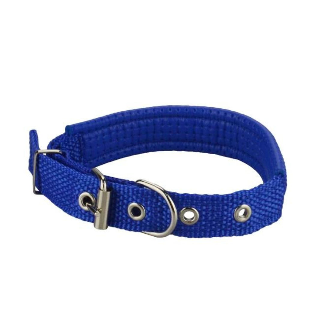 dog collars