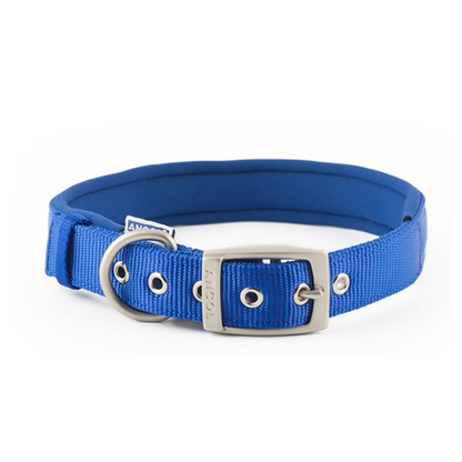 dog collars