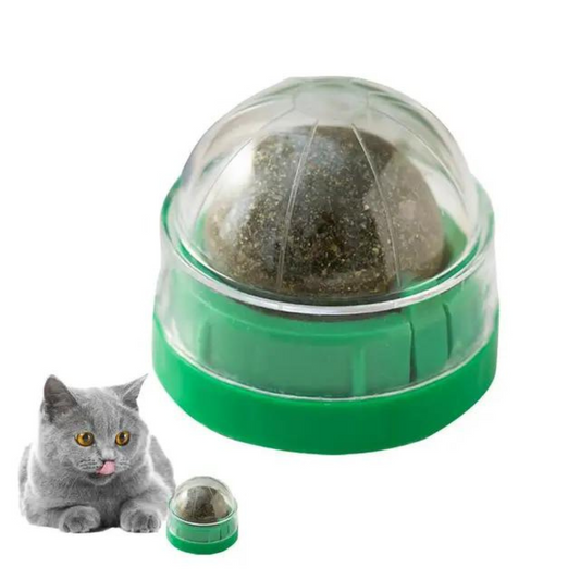 cat nip ball