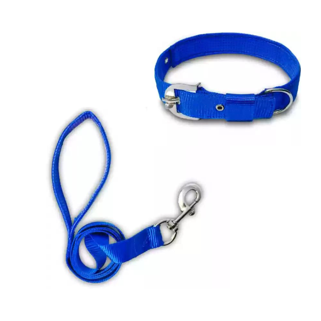 Dog collar with leash