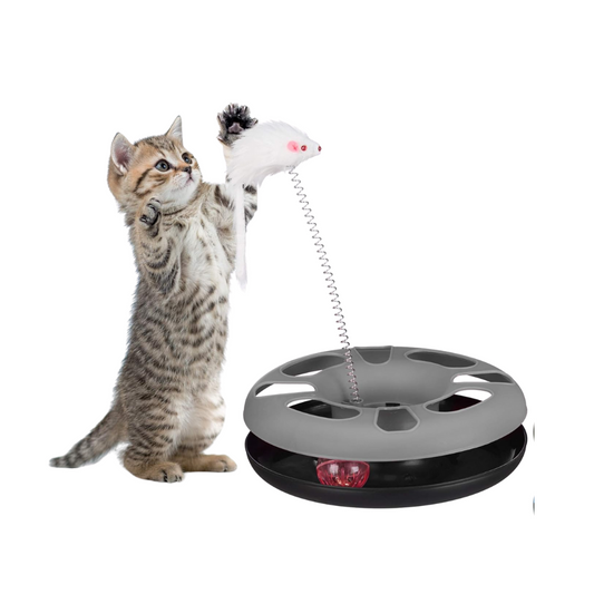 Cyclone Cat toy