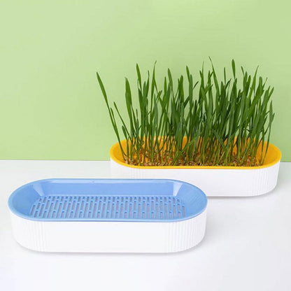 Cat Grass Kit with Growing Tray