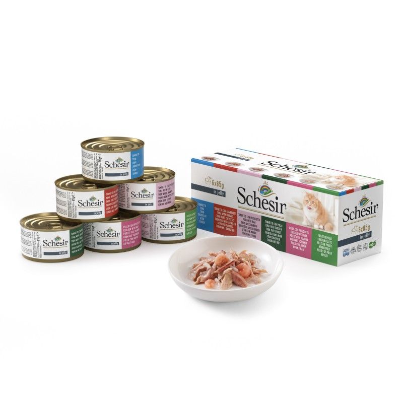 Schesir cat Multipack can 6×85g in jelly