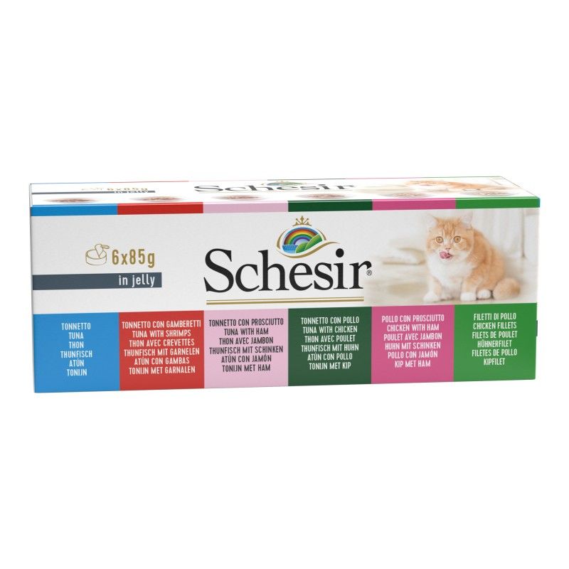 Schesir cat Multipack can 6×85g in jelly